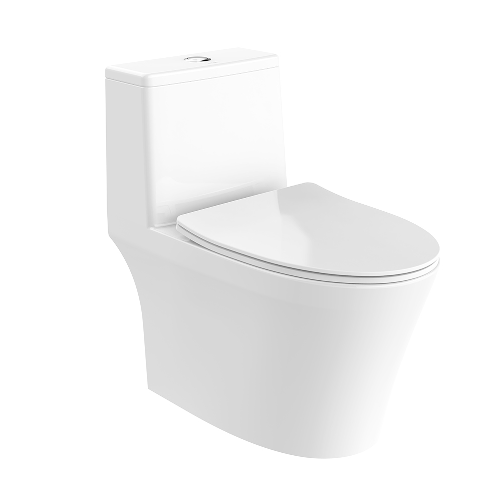 超旋風(fēng)360°D3坐便器